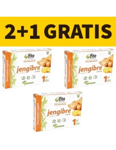 FitoPremium Jengibre | Pinisan | 30 Cápsulas | Pack Promo 2+1 Gratis