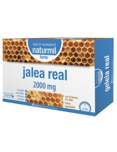 Jalea Real Forte - 20 Ampollas