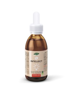 Phytojunior 4 Intellect Bio | Intersa | 30 ml. 2