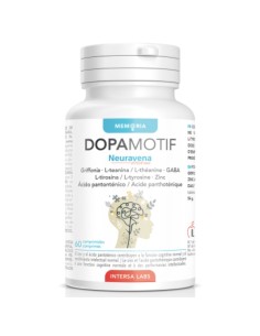 Dopamotif | Intersa 2