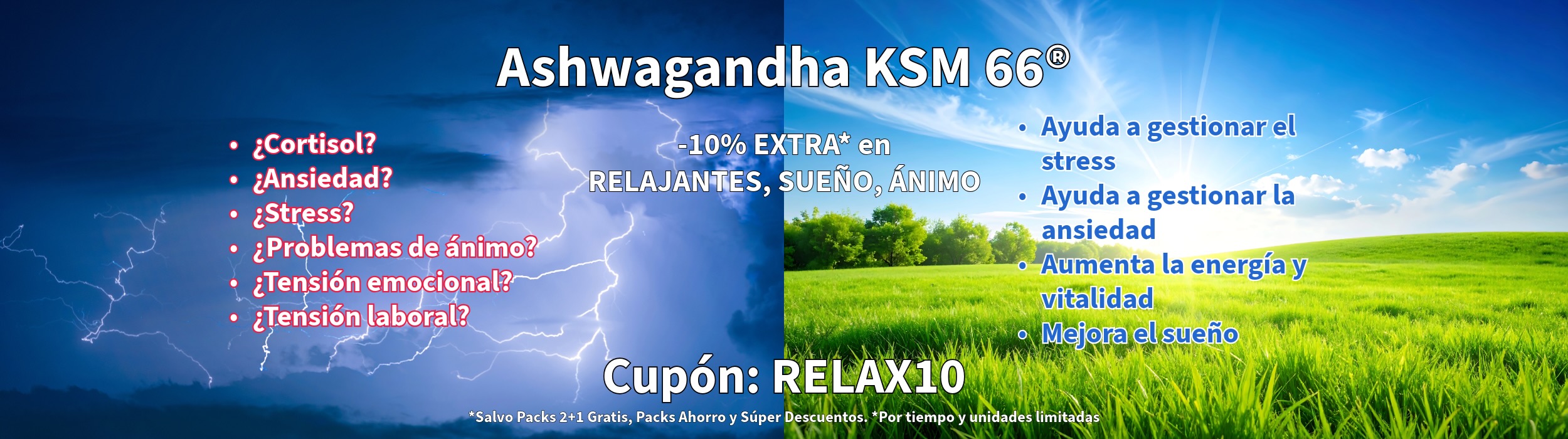 Ashwagandha KSM 66 | Ansiomed